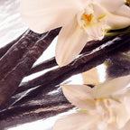 Whipped Grass-Fed Tallow Balm with Vanilla Bean